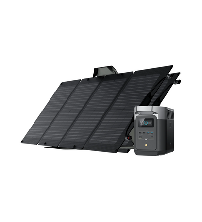 EcoFlow DELTA 2