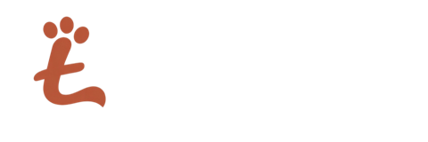 Łapusie